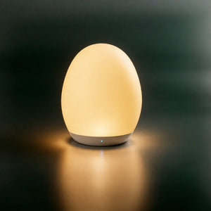 Nachtlicht LED in Eiform Wiederaufladbar per USB